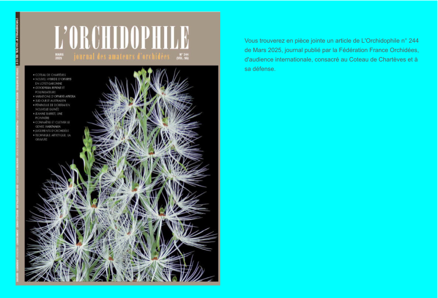 Vous trouverez en pièce jointe un article de L'Orchidophile n° 244 de Mars 2025, journal publié par la Fédération France Orchidées, d'audience internationale, consacré au Coteau de Chartèves et à sa défense.