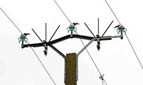 ENEDIS S’IMPLIQUE DANS LA PROTECTION DES OISEAUX À MÉZY-MOULIN dans le sud de l'Aisne avec Picardie Nature