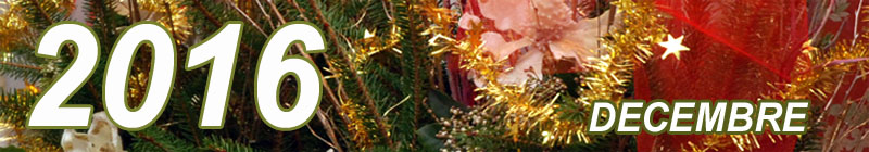 Calendrier sudaisne.com