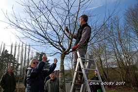 Association ADEQV à Essômes sur Marne avec les croqueurs de pommes dans le sud de l'Aisne Hauts de france
