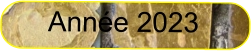 Année 2023