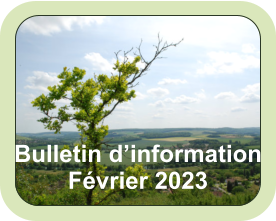 Bulletin d’information Février 2023