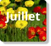 Juillet