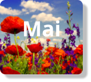Mai