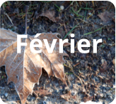 Février