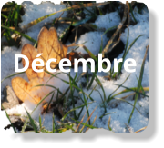 Décembre