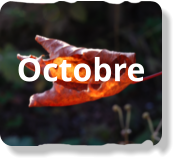Octobre