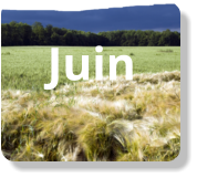 Juin