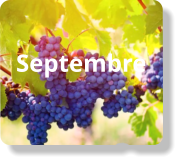 Septembre
