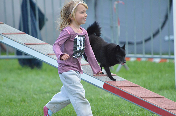 4ème concours d'agility à Condé en Brie dans l'Aisne